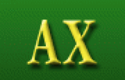 AX 13x8